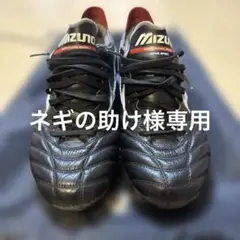 モレリアネオIII Japan