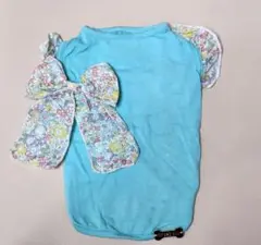 Item thumbnail for item 3d0d3ed5-1d42-4717-892a-d35e69376fb3