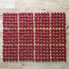 沖縄 オリオンビール 蓋 王冠 300個