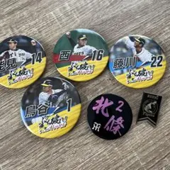 【まとめ売り】Tigers元選手バッジ 6個セット