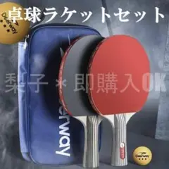 卓球ラケット　セット　ピンポン玉付　収納ケース付　持ち運び便利　クラブ　初心者
