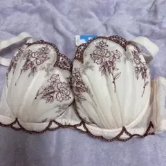 花柄刺繍フルカップブラジャー