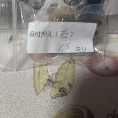 段付押え CR15 1.5ミリ 金属製
