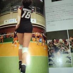 全日本女子バレードキュメントブック（女子バレー選手名鑑兼写真集）