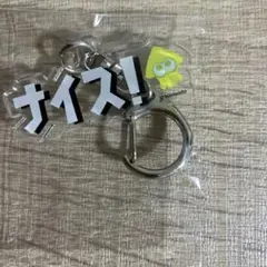 キャナル　スプラトゥーン　えんにち　アクキー