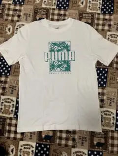 PUMA♡ホワイトTシャツ♡パームツリー