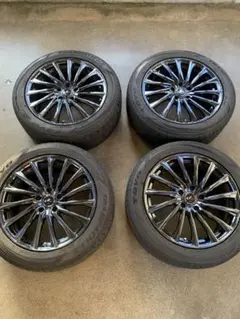レオニス CH限定カラー