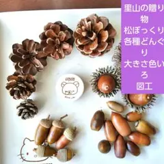 Item thumbnail for item f3de78a1-f9f8-4b3e-b74d-cc0126d714a2