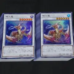 294. 遊戯王　瑚之龍　スーパーレア【100枚】
