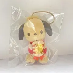 スシロー はぴだんぶい ポチャッコ 後半 日焼け サンリオ