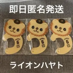 【坂本勇人】エニマイくじ　読売ジャイアンツ　ライオンハヤト　D賞 3個セット