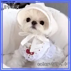 Sサイズ 犬用 サンバイザー 帽子 ホワイト レース 撮影会 散歩