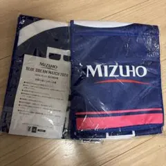MIZUHO BLUE DREAM MATCH 2024 応援タオル 2枚セット