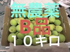 梅　　完全無農薬　　10キロ/16キロのみ 2025年最新】無農薬 梅 10キロの人気アイテム - メルカリ