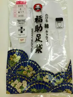 Item thumbnail for item c85fec25-2f00-4c79-9a58-6c35d77774b9