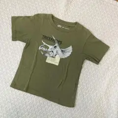 ★UNIQLOユニクロ　UT　トリケラトプス半袖Tシャツ 100 恐竜保育園夏服