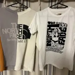 THE NORTH FACE PURPLE LABEL アシンメトリー　アシメ