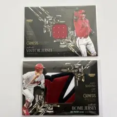 Item thumbnail for item e1b27d44-5a49-47fc-bb4e-a80691696850