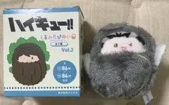 【ぽんぬ。様】ハイキュー‼︎ くるみたぴぬい　木兎