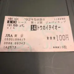 トウカイテイオー ジャパンカップ 現地的中単勝馬券 期限切れ 換金不可