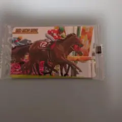 まねき馬　2495　レッドモンレーヴ　横山和生