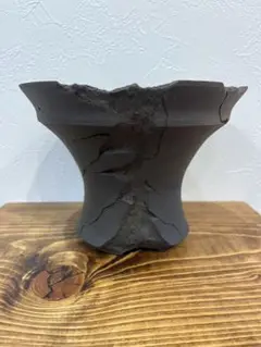 激レア　earnest hearts pot volt type-RE 植木鉢 エバーフレッシュ 曲げ仕立て 4号陶器鉢 Ever fresh