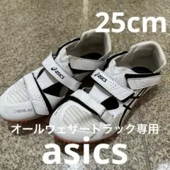 Item thumbnail for item 3a04c749-e2a1-4b58-9edb-cc3cd14b2c82