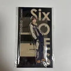 Item thumbnail for item 56cf4556-c6ac-42f6-8a07-5e5ba0600343