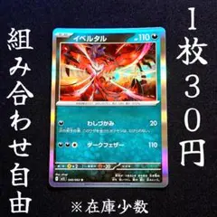 m1L 040 イベルタル R