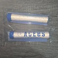 ACEes ペンライト トップ PROLOGUE ツアーグッズ