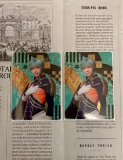 ミュージカル刀剣乱舞 目出度歌誉花舞十周年祝賀祭 一期一振 カードセット