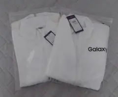 Item thumbnail for item fe9371ba-cc9f-4553-9542-283846a4b22f