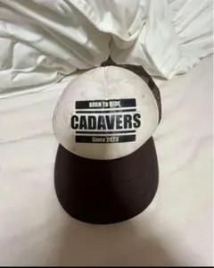 Item thumbnail for item a42c3a35-971d-4e3f-9023-03c3b73292f5