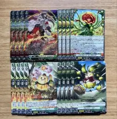 グランフィア SR 4コン　まとめ売り