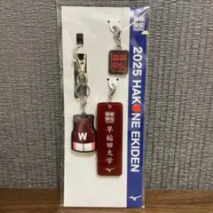 Item thumbnail for item b2754967-cacd-488f-842f-744a1c0102ce