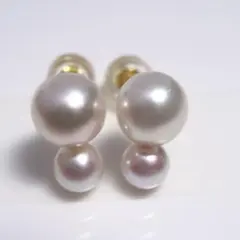 Item thumbnail for item 0d99d9a7-6428-434f-81ef-f0d88130afb0