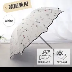 Item thumbnail for item 6498fc37-77f0-41eb-9501-0f994bf2a2dd