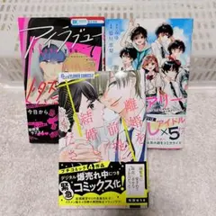 離婚を前提に、結婚してください。　読み切り