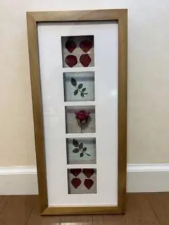 新品！バラの押し花の額　オシャレなインテリア