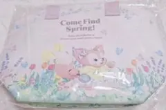 ダッフィー&フレンズ　カムファインドスプリング　スーベニア ランチケース
