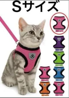 Item thumbnail for item 9227651e-7718-4409-ae69-edc423a868e9