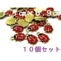 10個 約1.1cm×0.9cm てんとう虫チャーム 赤 黒 ゴールド MS01