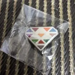 ピンバッジ　‼️新品未使用‼️