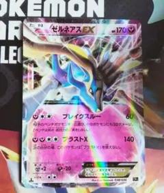 イベルタルEX ゼルネアスEX RR プロモ 色違い ポケモンカード 英語 海外 イベルタルEX ゼルネアスEX RR プロモ 色違い ポケモンカード