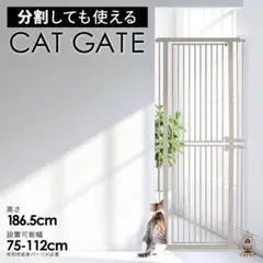 Item thumbnail for item a9a9ef81-2f49-48e6-8cc4-bd35d1ae2b54