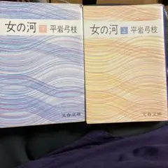 女の河 上下巻セット