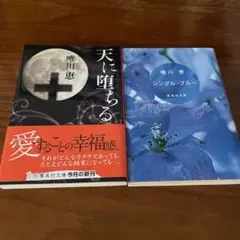 唯川恵 天に堕ちる 愛することの幸福感 & シングル・ブルー