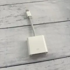 Apple純正 Mini DisplayPort DVI変換アダプタA1305