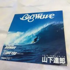 山下達郎 Big Wave　特別優待割引券付き