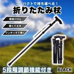 Item thumbnail for item 359f6b3a-0da1-45b2-8d60-e21b3cff466e